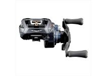 Daiwa 21  STEEZ A TW HLC 8.1R