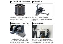 Daiwa 21 SURF BASIA 45 06PE