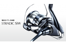 Shimano 20 Stradic SW 8000PG