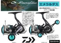 Daiwa 16 Emeraldas 2508 PE