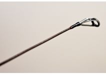 Fenwick 21 World Class Expedition WCE66SL-5J