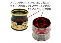 Daiwa SLPW LT TYPE-α spool 4000S