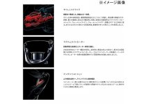 Shimano 25 Exsence 3000MHG