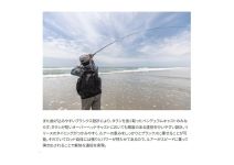 Shimano 24 Nessa  SS S100M/MH+
