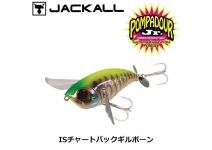 Jackal POMPADOUR Jr. IS Chart Back Gilborn