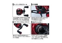 Daiwa 20 HRF PE Special 8.1L-TW