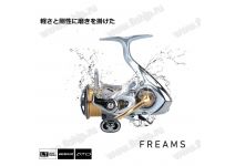 Daiwa 21 Freams LT 3000-C
