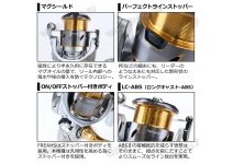 Daiwa 21 Freams LT 3000-C