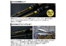 Daiwa 21 Neo Stage Ayuing 90MLB-4・S