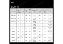Daiwa 22 Caldia  SW 4000D-CXH