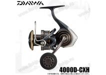 Daiwa 22 Caldia  SW 4000D-CXH