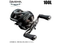 Daiwa 24 Steez SV TW 100L