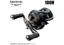 Daiwa 24 Steez SV TW 100H