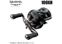 Daiwa 24 Steez SV TW 100XH