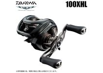 Daiwa 24 Steez SV TW 100XHL