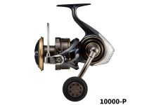 Daiwa 22 Caldia SW 10000-P