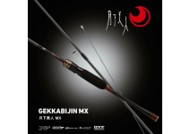 Daiwa 25  Gekkabijin MX 610L-S・J