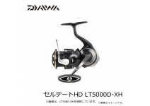 Daiwa 26 Certate HD LT5000D-XH