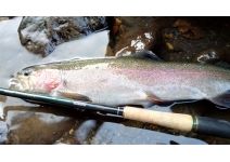 Shimano  BG Tenkara 48NV