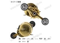 SHIMANO 23 Calcutta Conquest MD 400XGLH