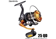 Daiwa 19 Castizm  25 QD