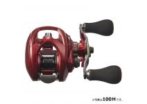 Daiwa 19 Admira 100XH