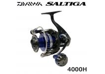 Daiwa 15 Saltiga 4000H