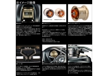 Daiwa 26 Steez SV Light TW 100HL