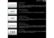 Daiwa 26 Steez SV Light TW 100HL