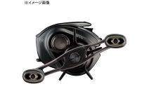 Daiwa 24 Steez SV TW 100L