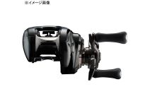 Daiwa 24 Steez SV TW 100L