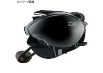 Daiwa 24 Steez SV TW 100L