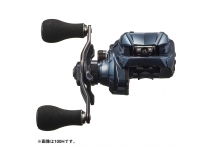 Daiwa 24 TIERRA AIR IC 100XH