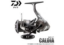 Daiwa Caldia 18 LT2000S