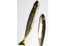 Fish Arrow Flash-J Shad 4"