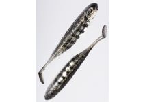 Fish Arrow Flash-J Shad 3"