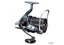 Daiwa 21 SURF BASIA 45 06PE