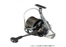 Daiwa 21 SURF BASIA 45 06PE