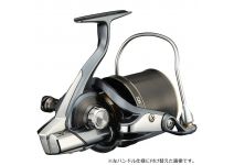 Daiwa 21 SURF BASIA 45 06PE