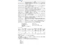 Daiwa 15 Leobritz 300J