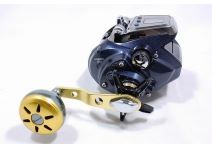 Daiwa 15 Leobritz 500J