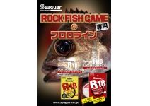 Seaguar R18 Light Rock 100m