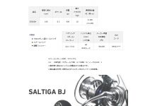 Daiwa 17 Saltiga BJ3500SH
