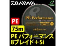 Daiwa PE Performance 8Braid＋Si 75m