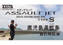 Xesta Assault Jet Weed Coast 80