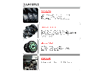 Tailwalk 19 Full range BF 81R